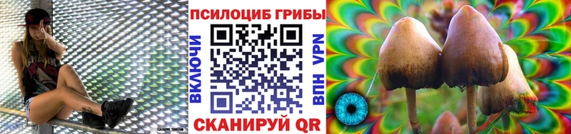 Галлюциногенные грибы ЛСД  Кодинск 