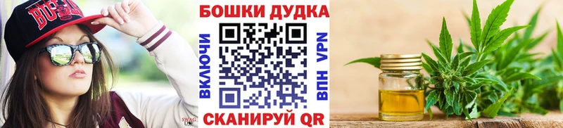 Каннабис планчик  omg маркетплейс  Кодинск 